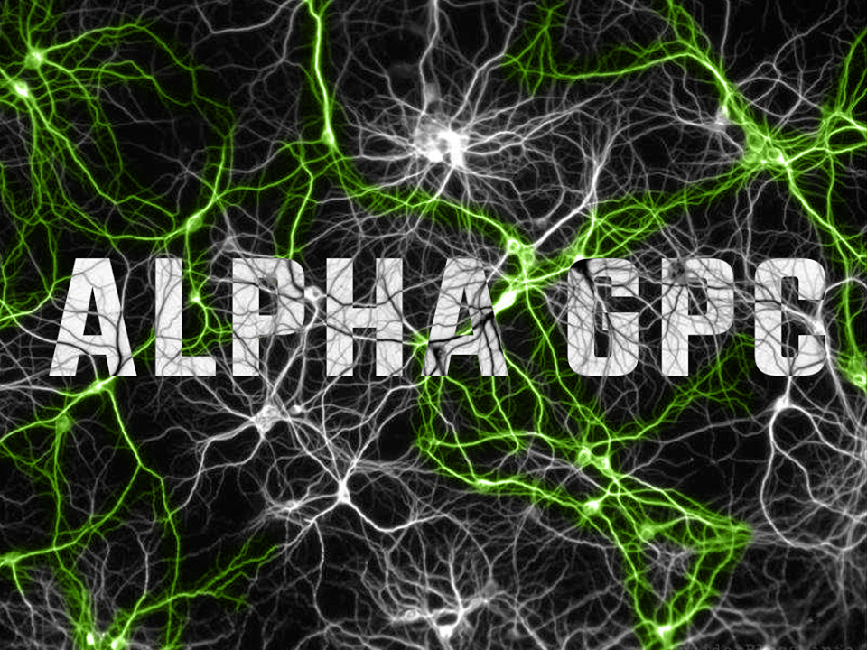 Alpha GPC – kolejne interesujące fakty!