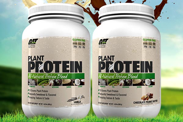 Plant Protein – nowa, roślinna odżywka białkowa od GAT