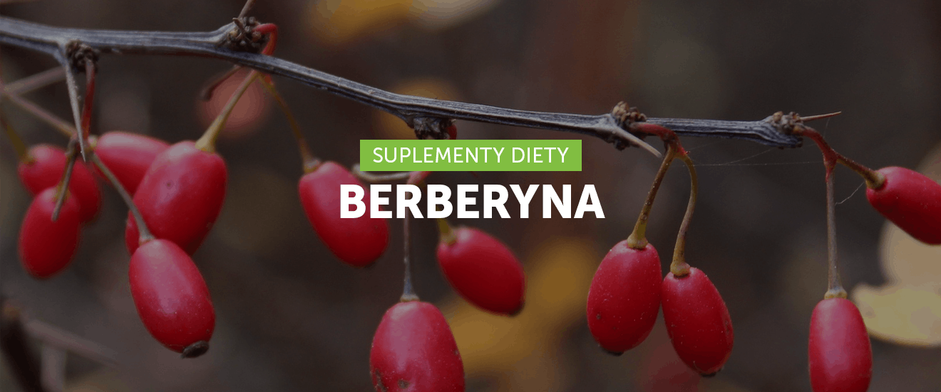 Berberyna i jej korzyści zdrowotne