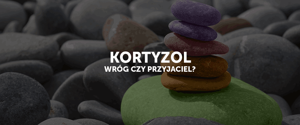 Kortyzol - wróg czy przyjaciel?