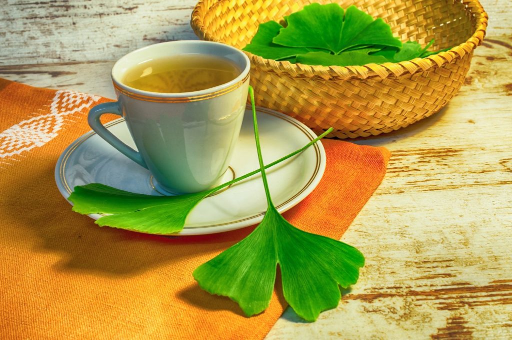 Świeży napar z Gingko Biloba