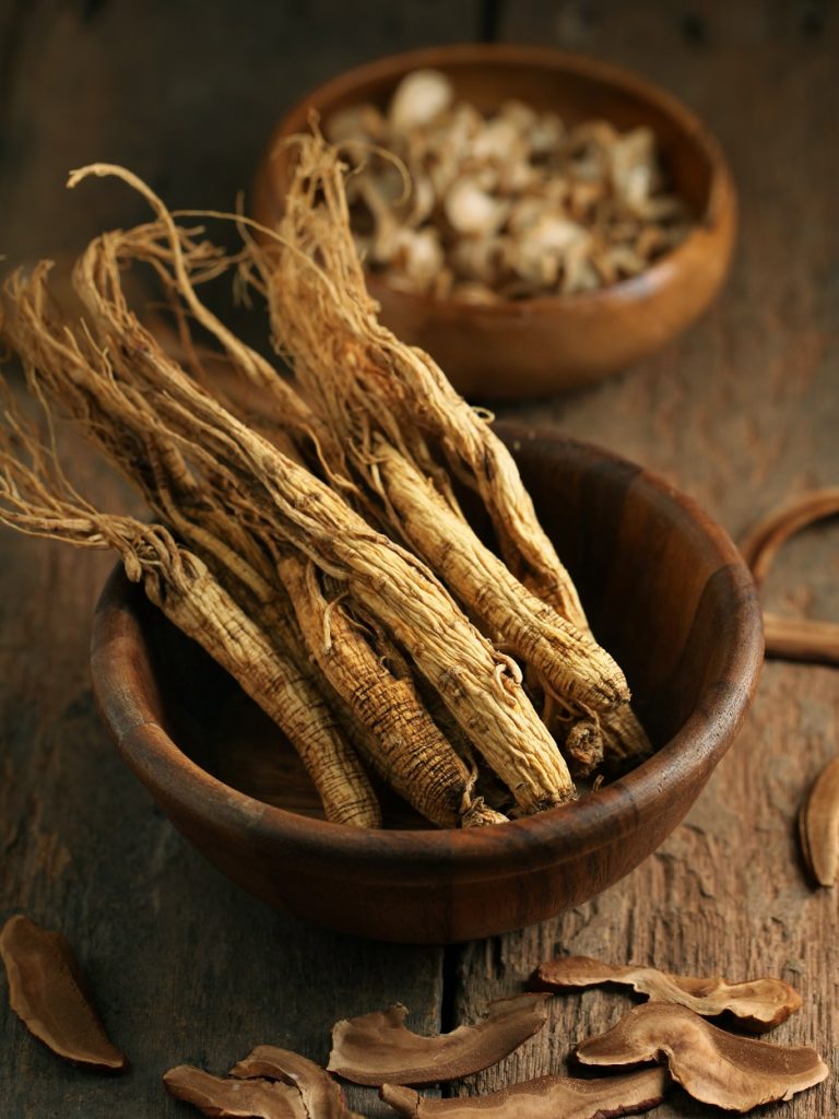 Korzeń żeń-szenia (Panax Ginseng)