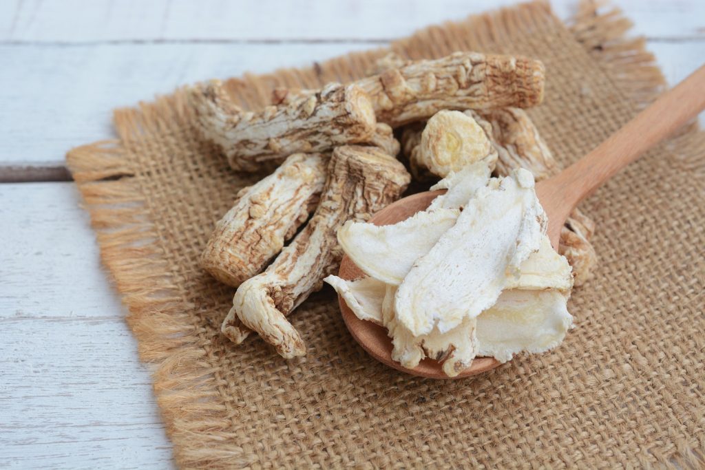 Świeże liście Dong quai (Angelica sinensis)