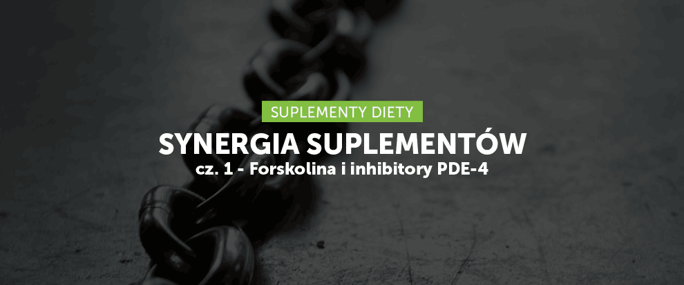 Synergia suplementów cz. 1 - Forskolina i inhibitory PDE-4