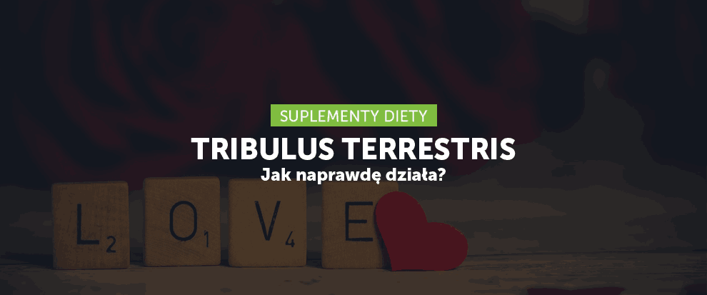 Tribulus – jak faktycznie działa?