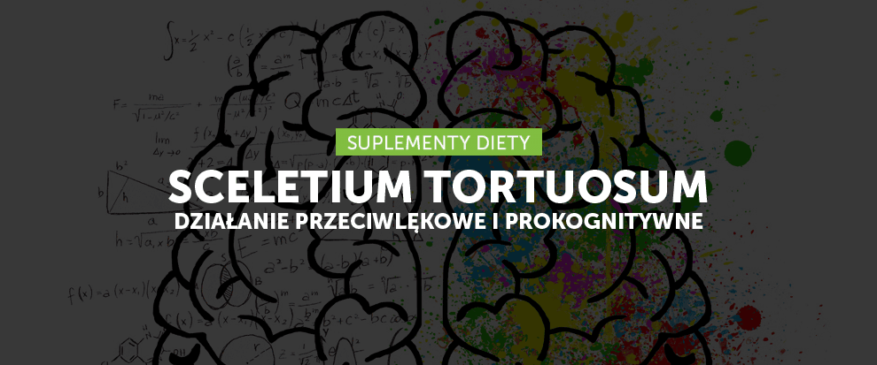 Kanna (Sceletium Tortuosum) – przeciwdepresyjne ziele wspierające pracę mózgu