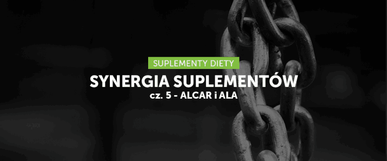 Synergia suplementów cz.5 - ALCAR i ALA
