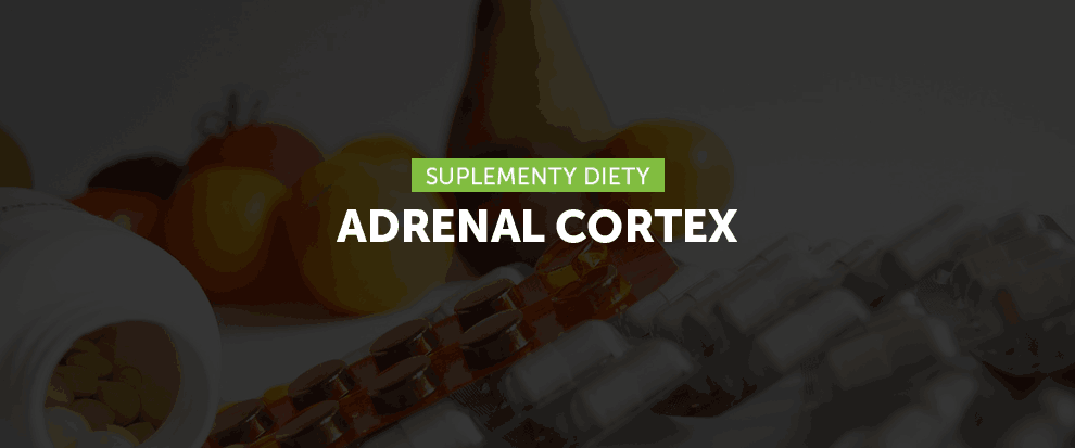 Adrenal Cortex