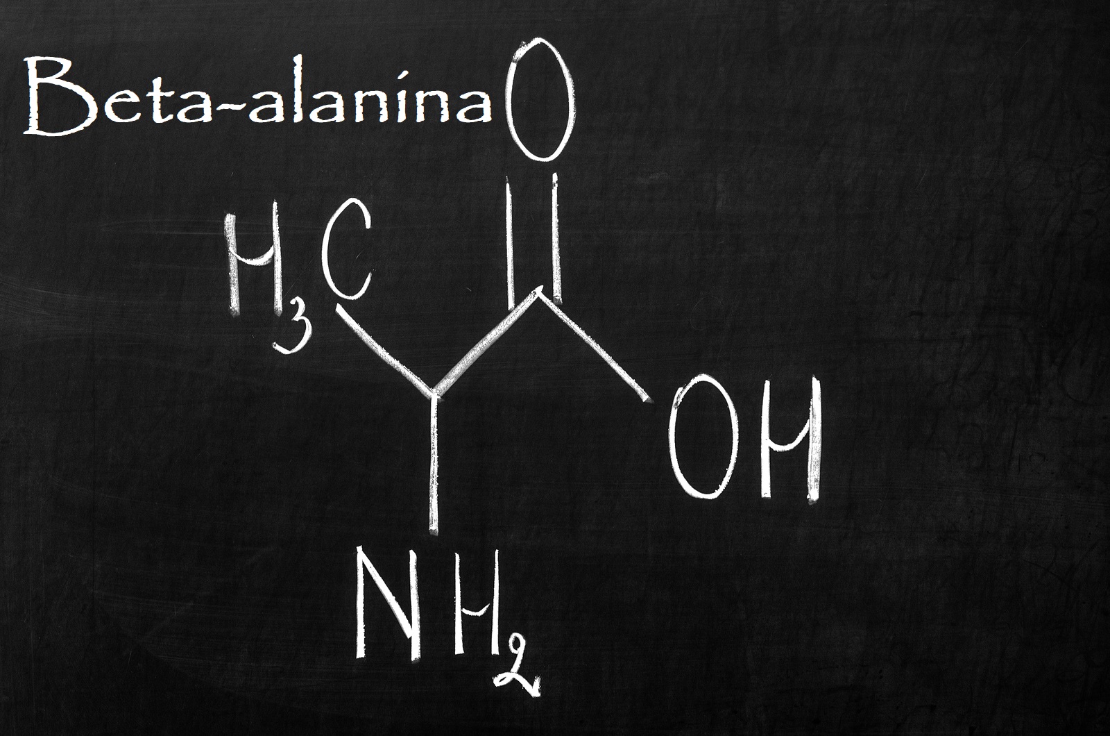 Beta-alanina – aminokwas zwiększający wydolność