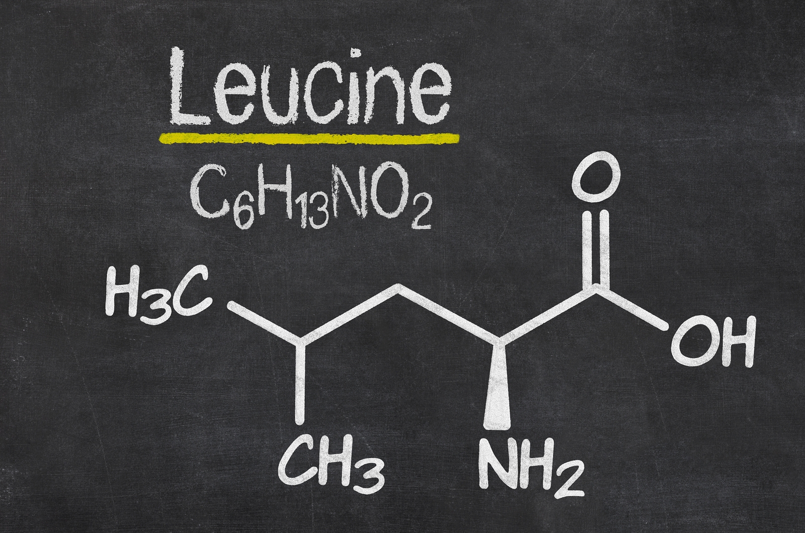 Leucyna – jak działa?