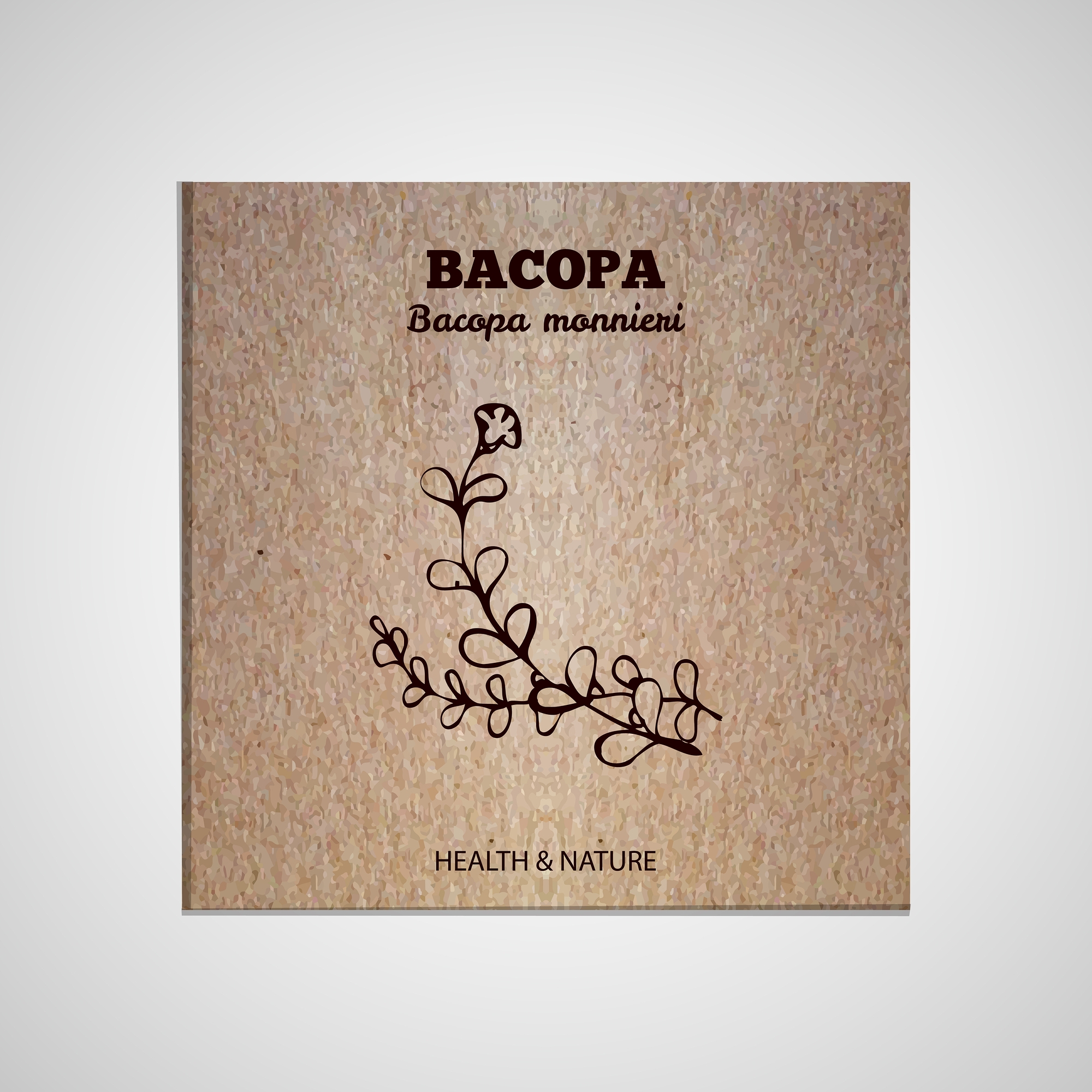 Bacopa monnieri – wsparcie pracy mózgu