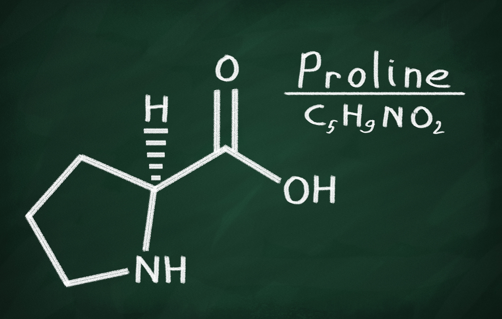 Prolina – kolejny cenny aminokwas