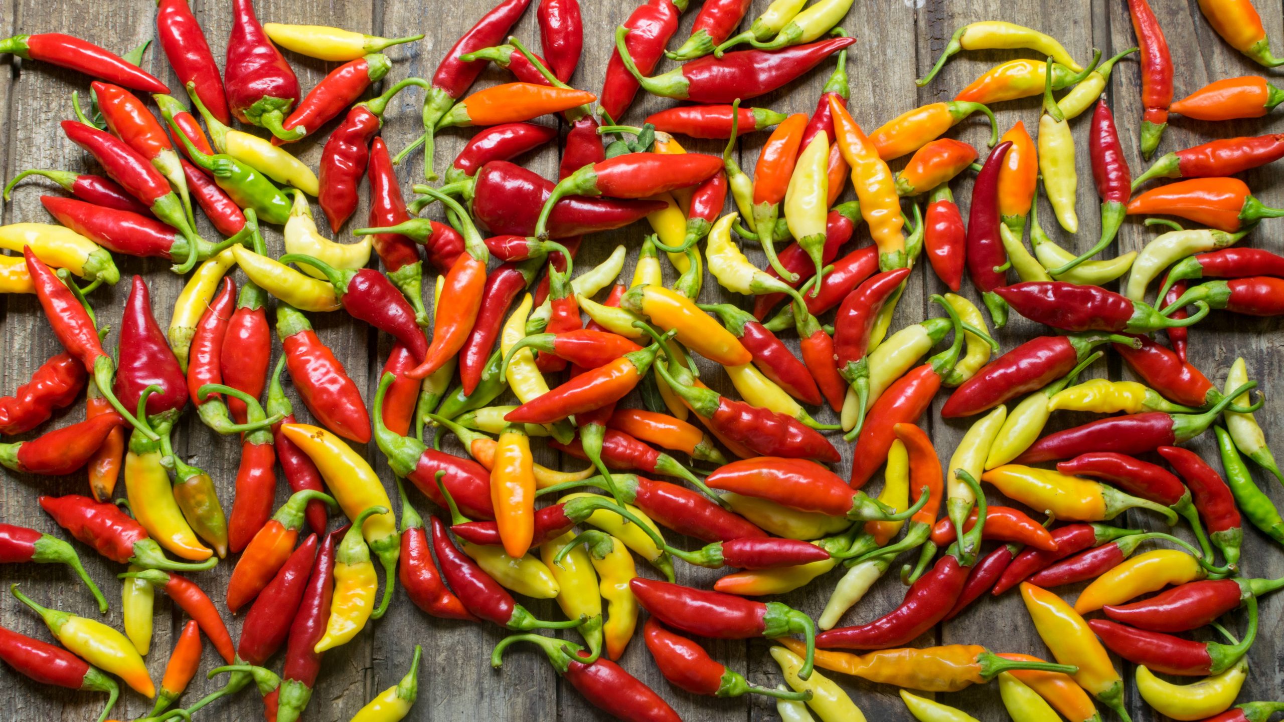 Uważaj z ostrością – chilli zabija czy ratuje życie?