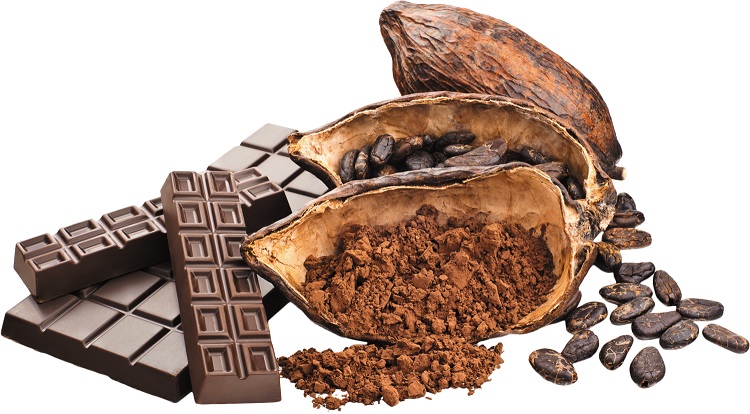 Teobromina – cenny składnik kakao na wydajniejszą pracę umysłową
