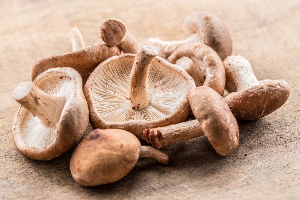 Świeże grzyby Shiitake