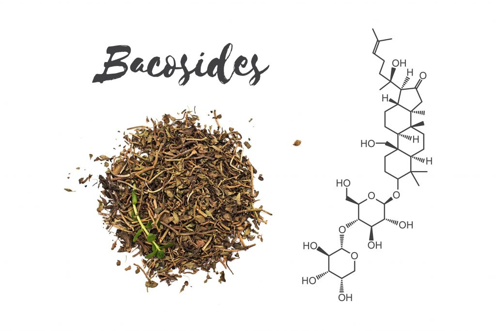 Bakozydy - składniki aktywne Bacopa Monnieri