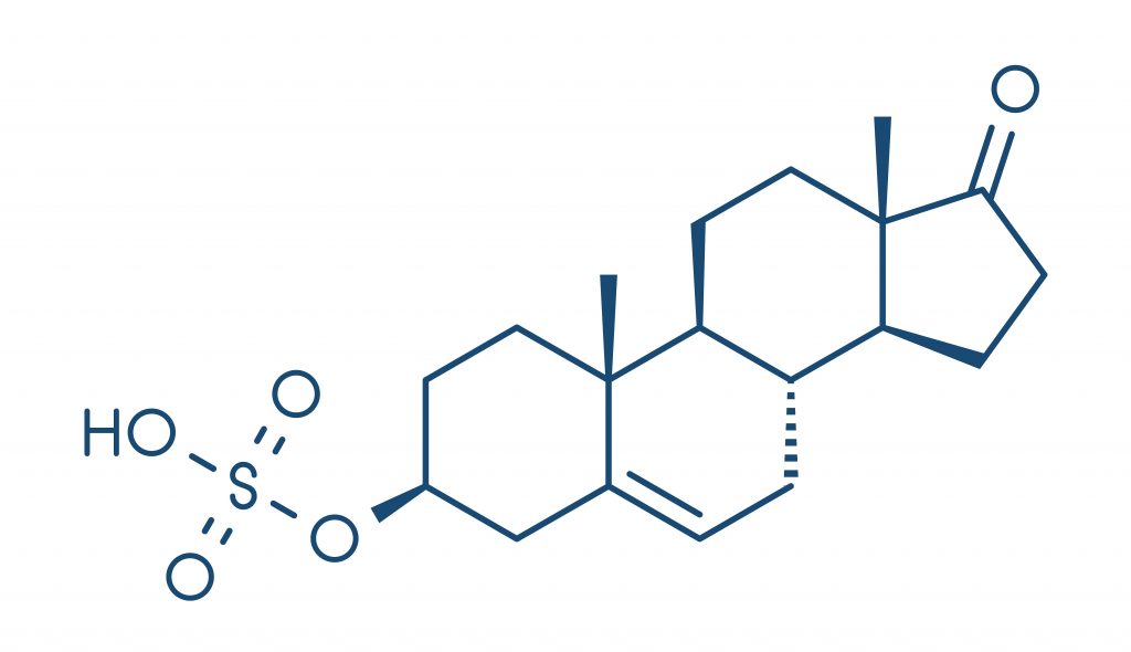 Wzór siarczanu dehydroepiandrosteronu (DHEA)