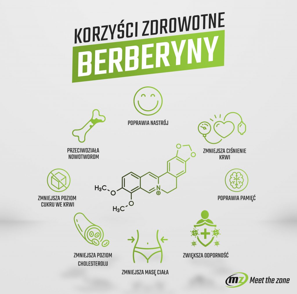 Korzyści zdrowotne berberyny infografika
