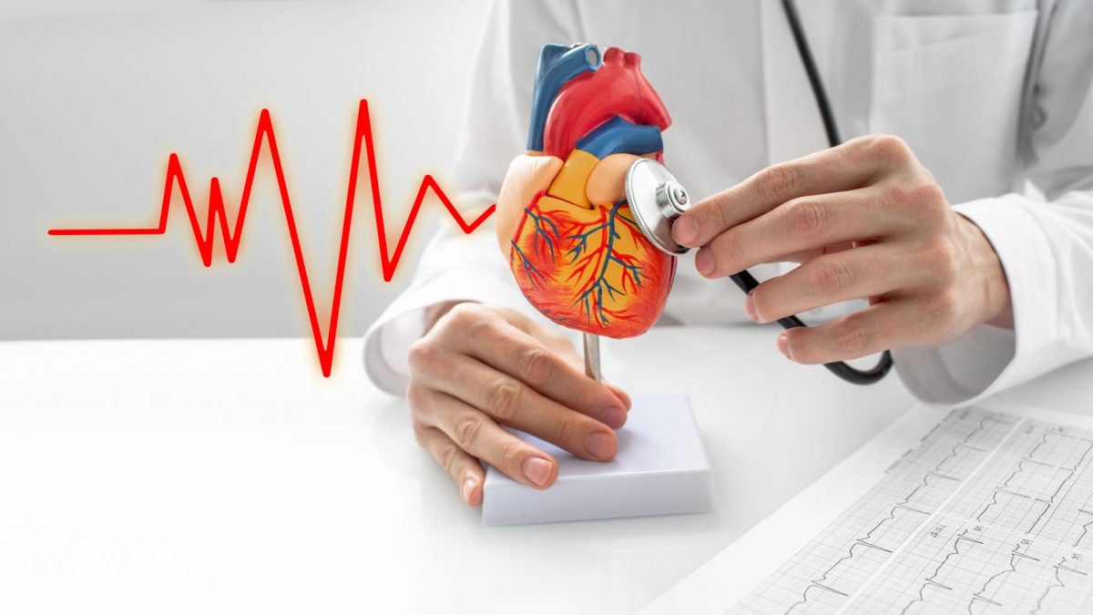 PQQ a układ sercowo-naczyniowy – jakie są zależności?
