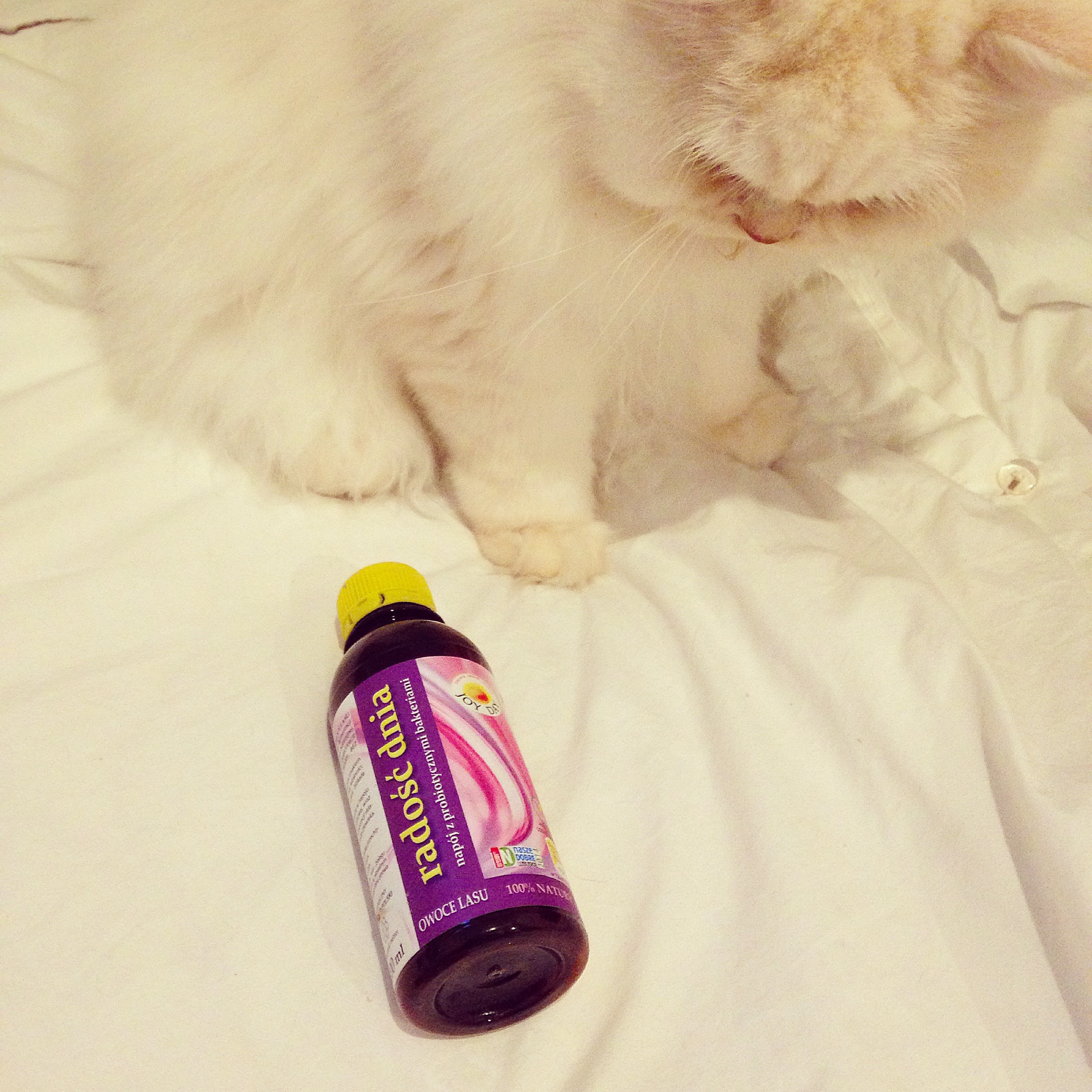 suplementacja witamin na co dzień