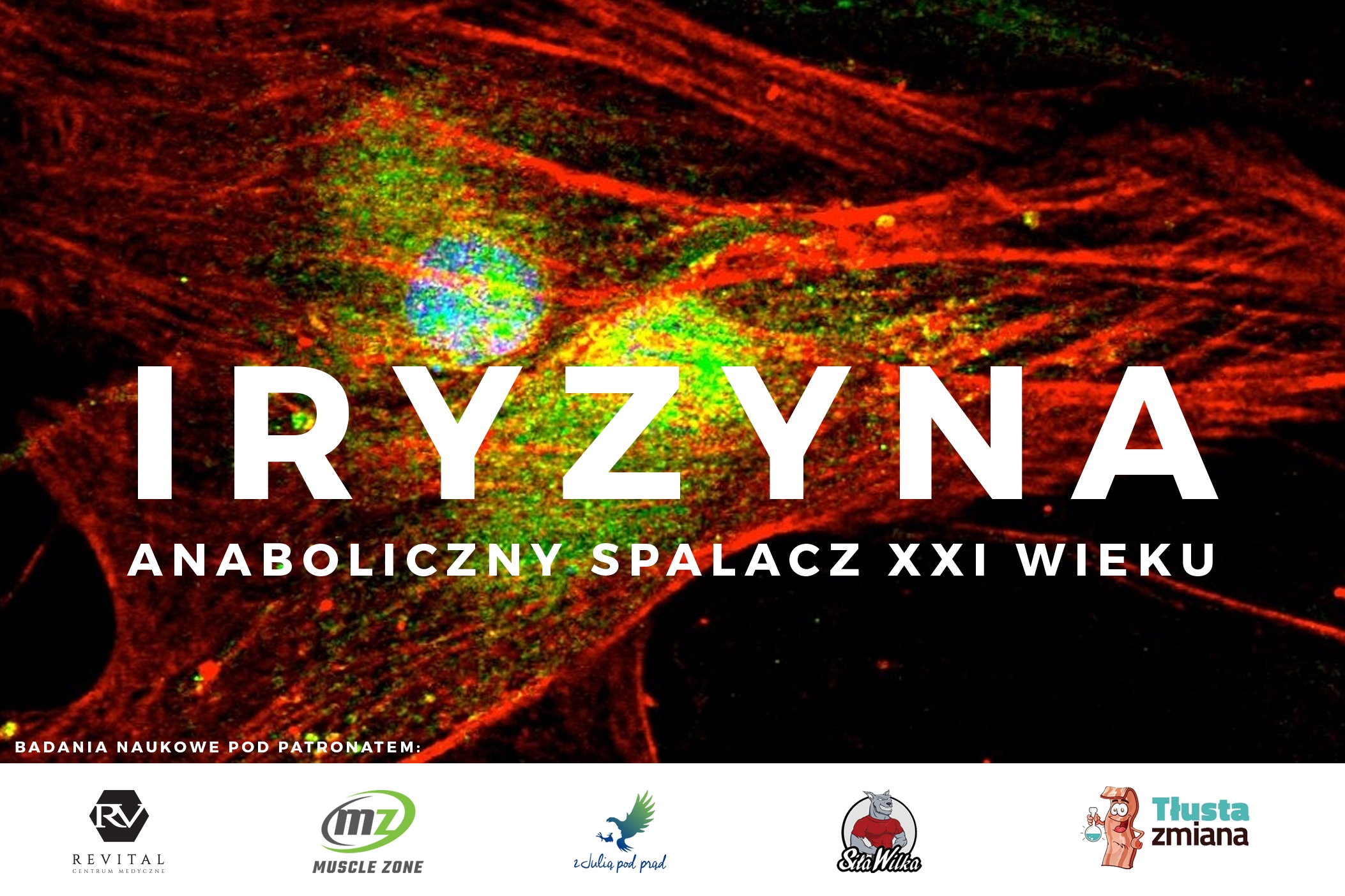 IRYZYNA - ANABOLICZNY SPALACZ XXI WIEKU
