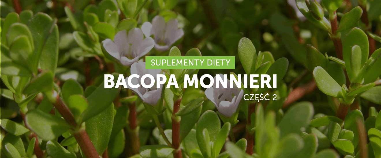 Bacopa monnieri korzyści zdrowotne. #2
