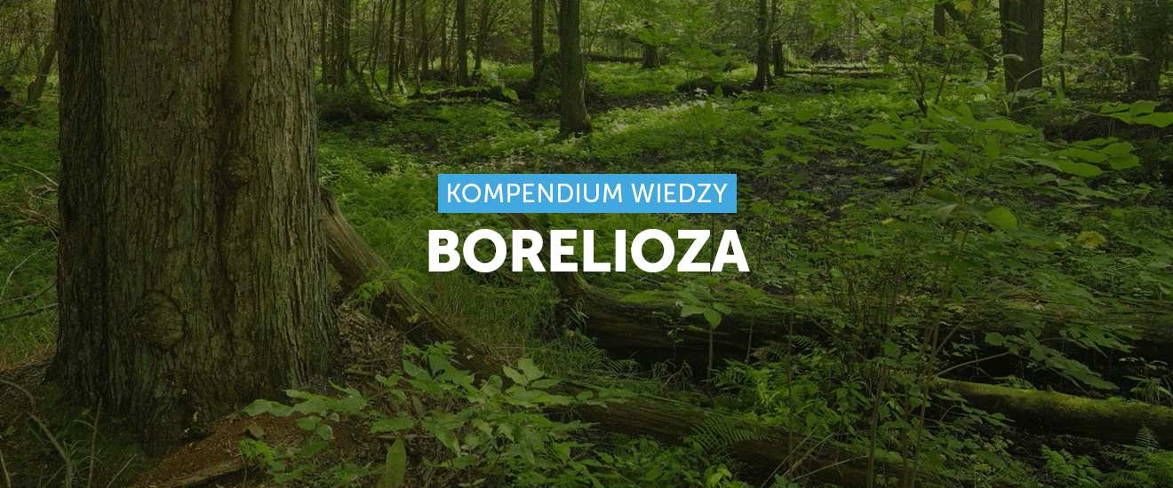 Borelioza - pomoc w leczeniu