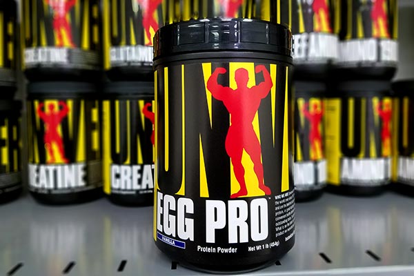 Egg Pro w nowej odsłonie