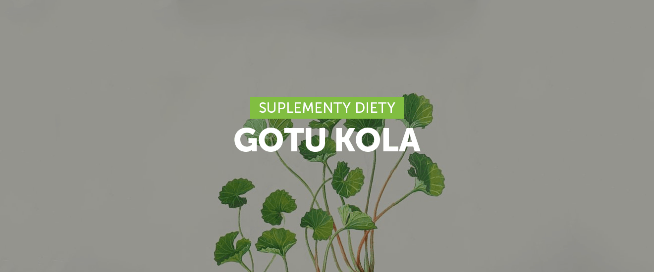 Gotu Kola – 10 niezwykłych korzyści zdrowotnych
