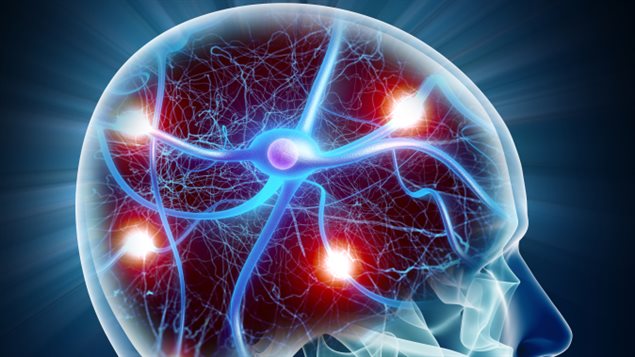 Źródła pokarmowe neurotransmiterów