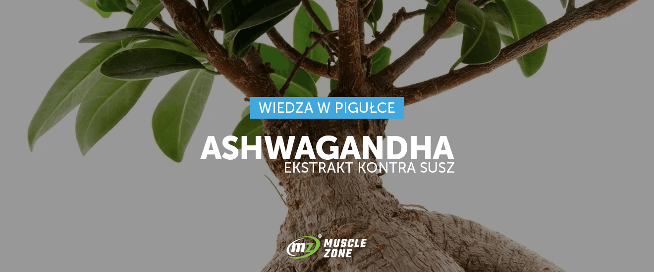 Suplementuj świadomie, czyli kilka słów o jakości suplementów z Ashwagandhą