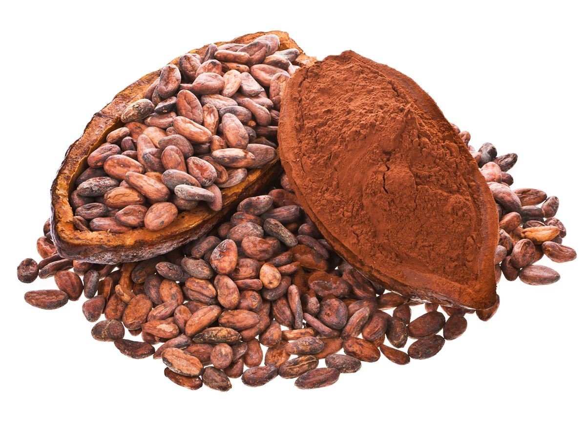 Słodka nowość od Giant Sports – Keto Cocoa!