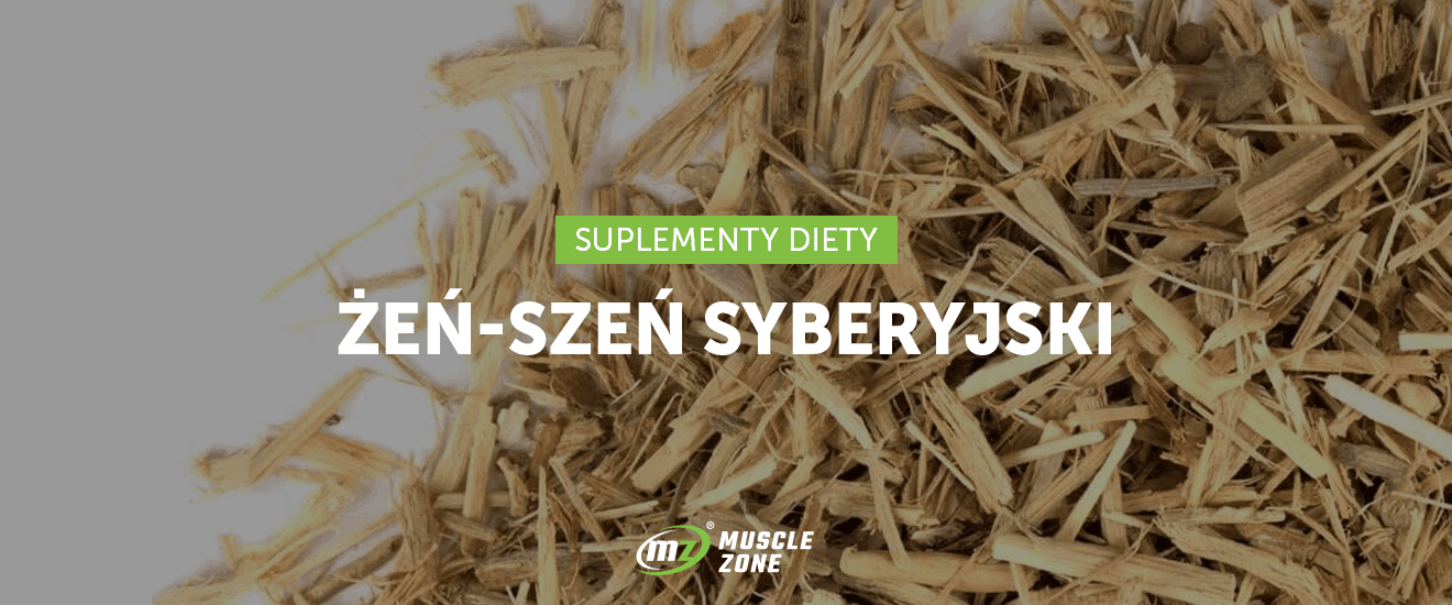 Żeńszeń Syberyjski – 10 powodów, dla których warto po niego sięgnąć!