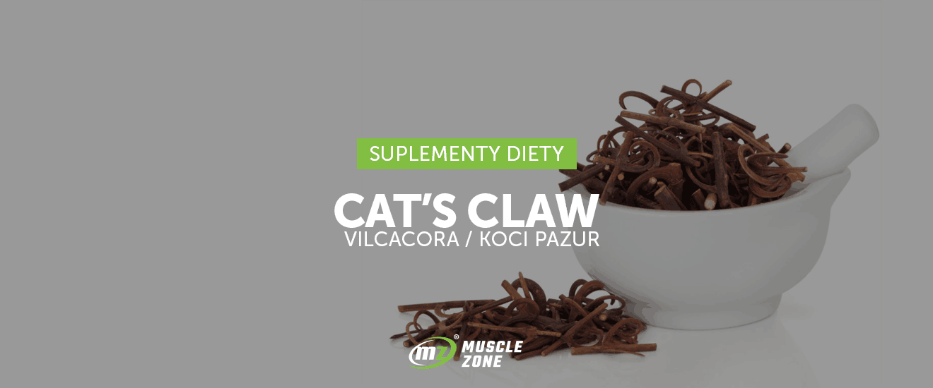 Cat's Claw i jego pozytywny wpływ na nasz układ odpornościowy!