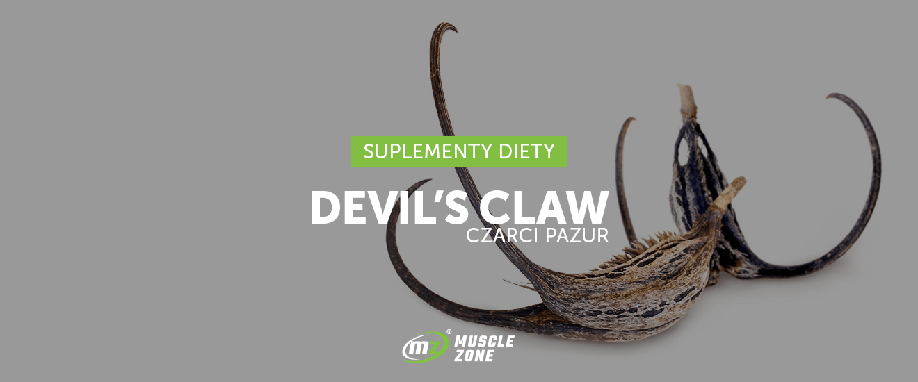 Devil's Claw – naturalny środek przeciwbólowy i przeciwzapalny