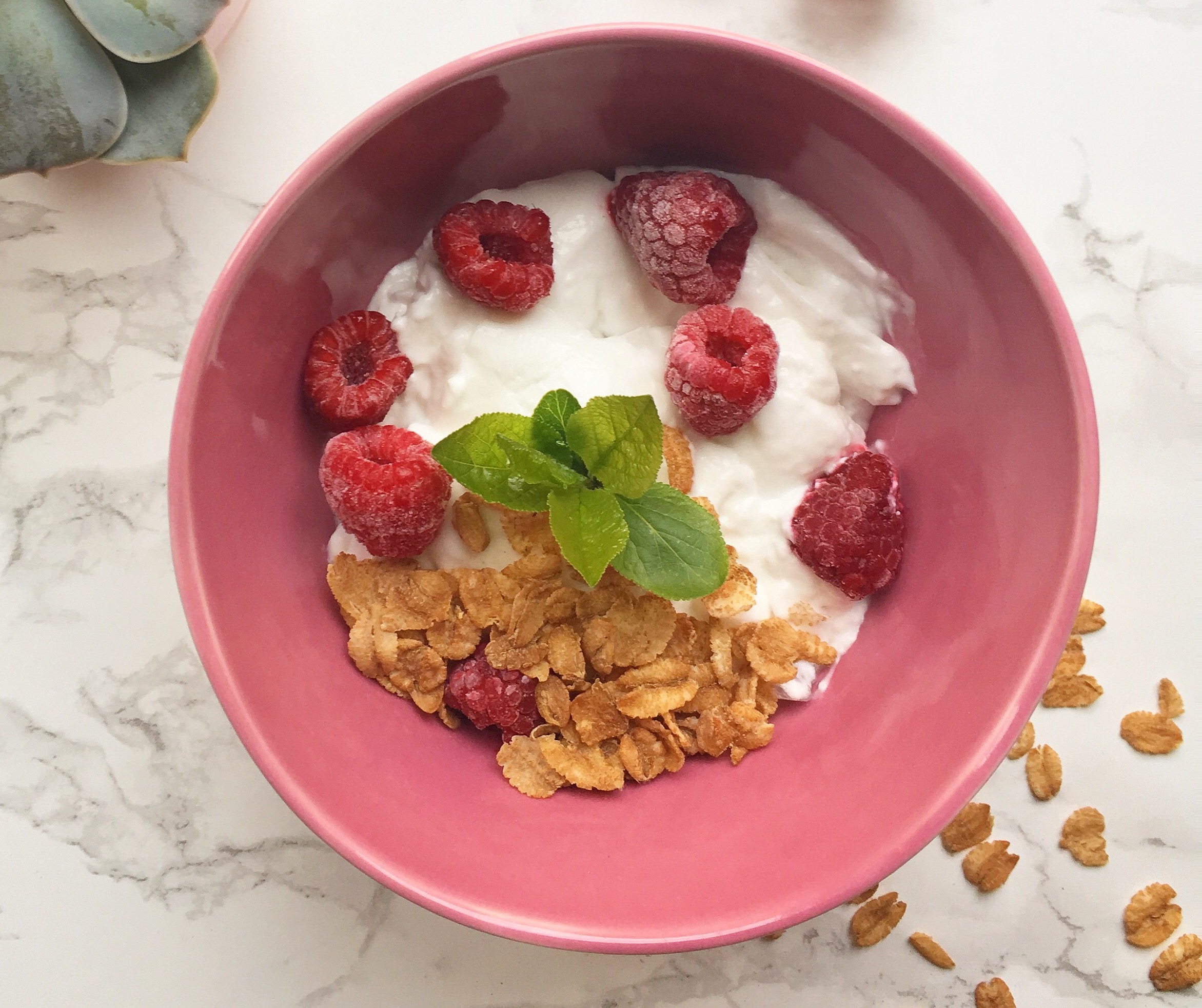 Jogurt kokosowy (keto, bez nabiału)