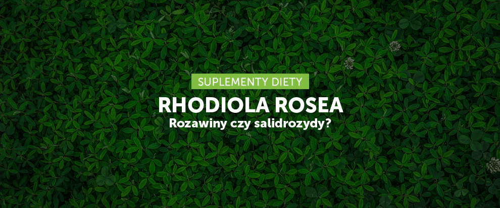 Rhodiola Rosea - rozawiny czy salidrozydy?