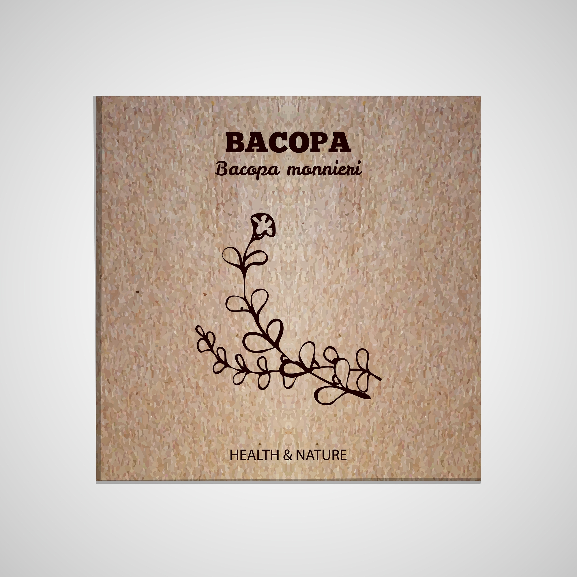 Bacopa monnieri - wsparcie pracy mózgu