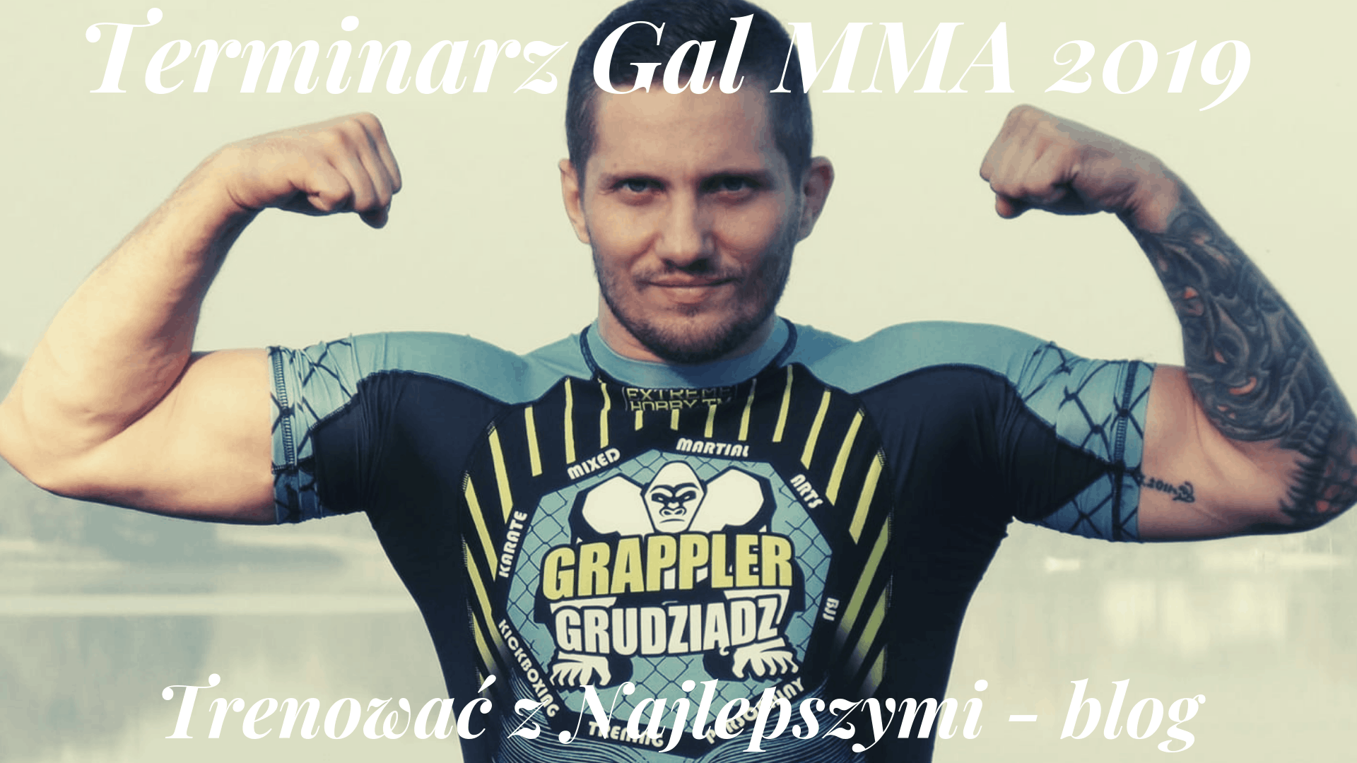 Terminarz gal MMA 2019