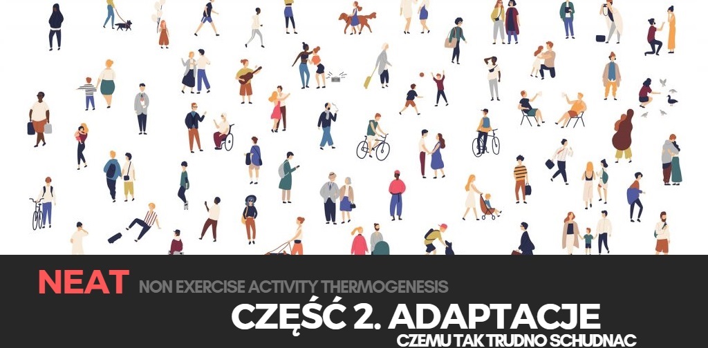 NEAT Część 2: Adaptacje - czemu tak trudno schudnąć?