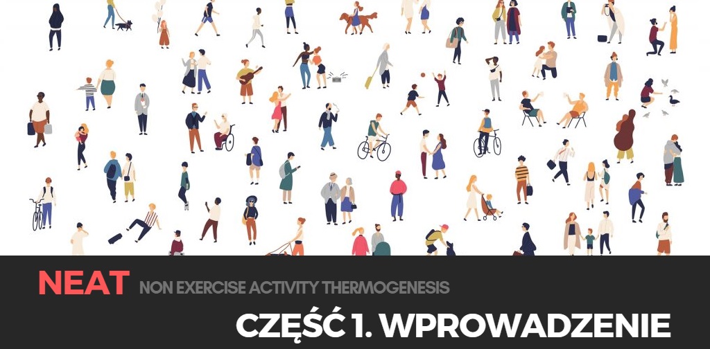 NEAT - Część 1. Wprowadzenie.