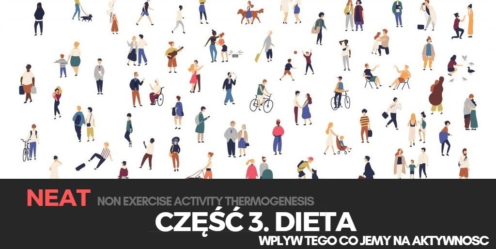 NEAT - Część 3. Dieta
