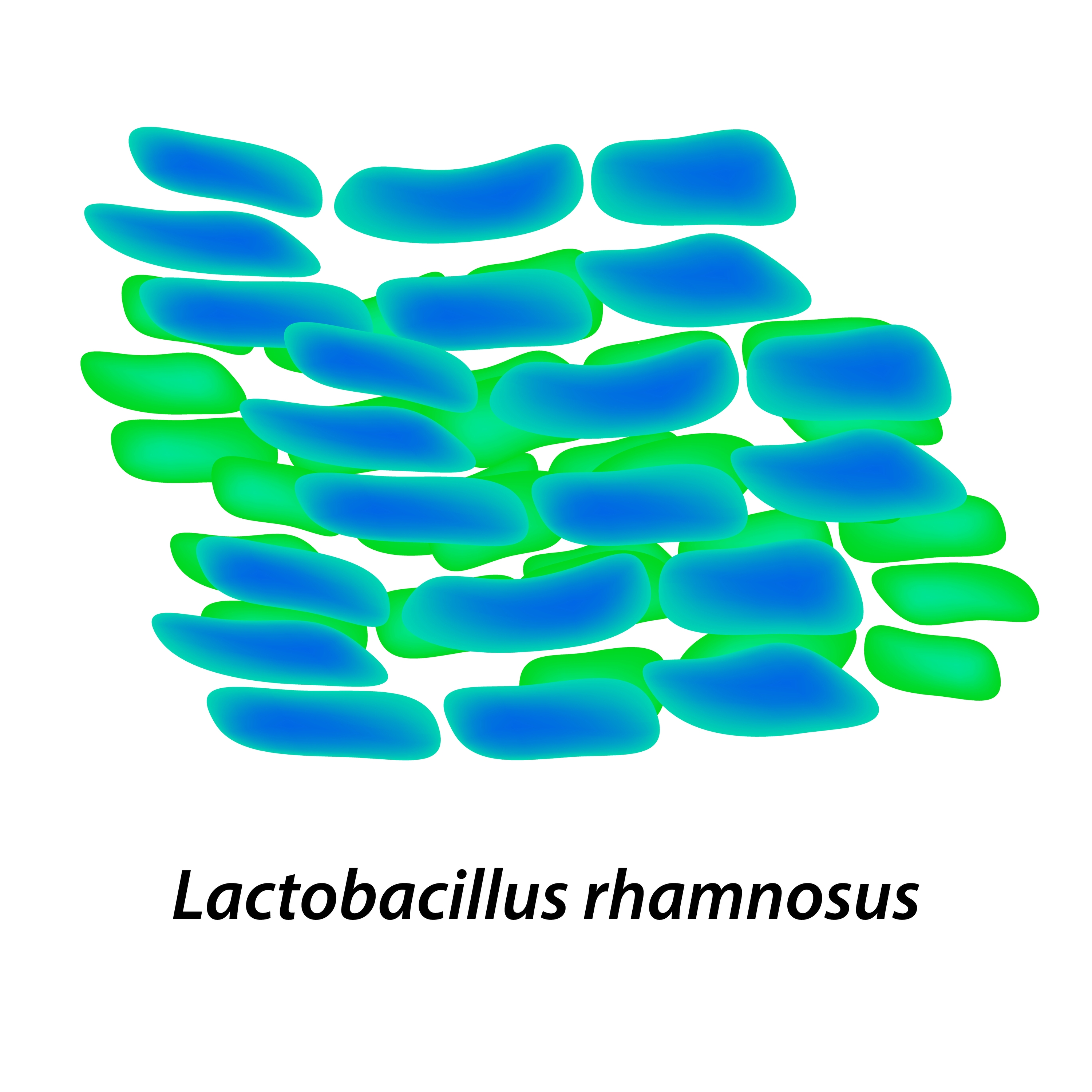Kiedy warto rozważyć suplementację Lactobacillus rhamnosus GG  – część I