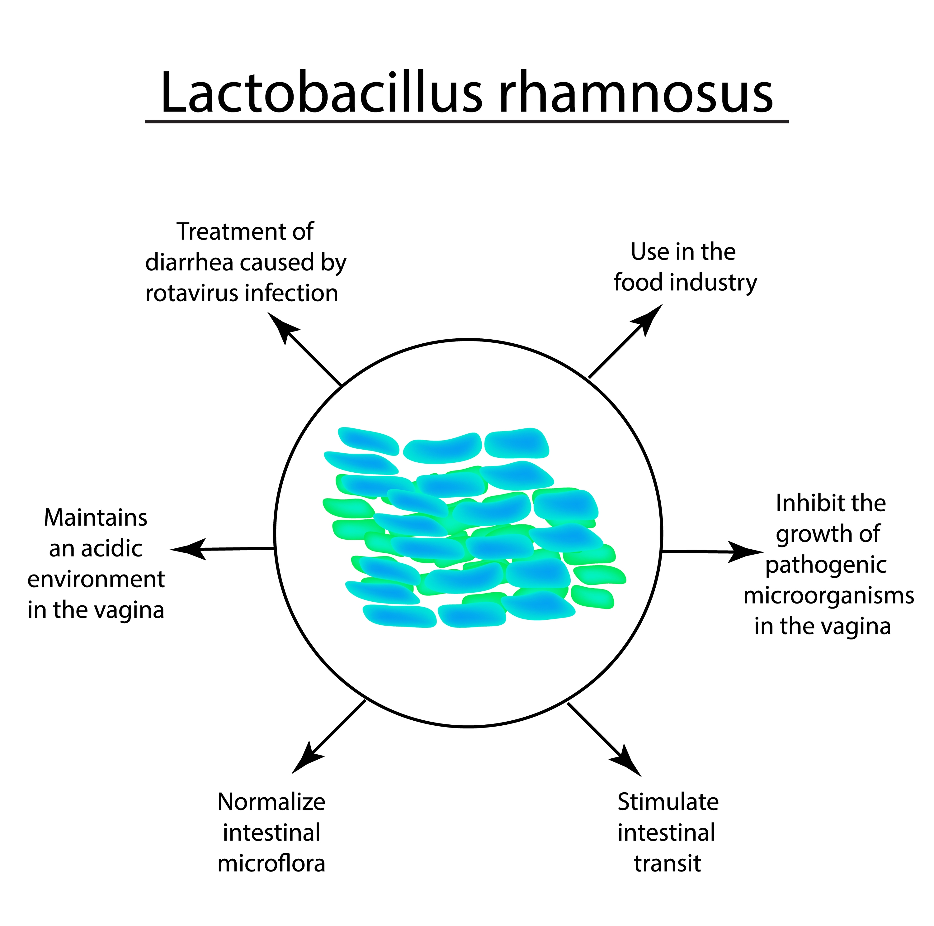 Kiedy warto rozważyć suplementację Lactobacillus rhamnosus GG  – część II