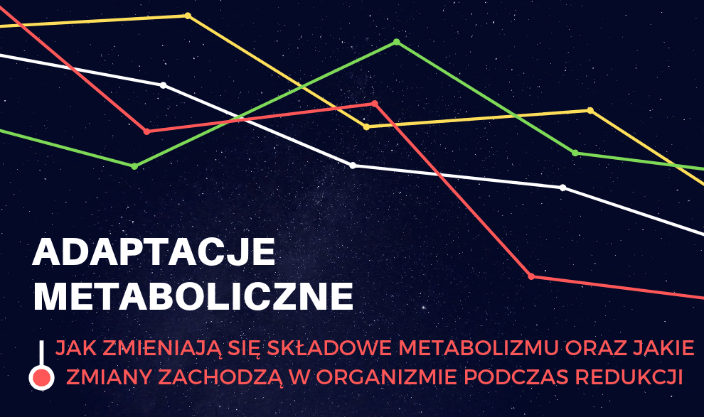 Adaptacje Metaboliczne Część 2: Spowolniony metabolizm