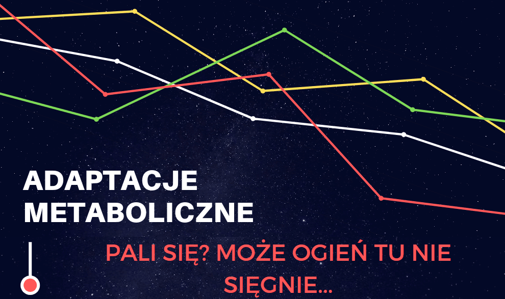 Adaptacje Metaboliczne Część 4: Pali się? Meh... ogień tu nie sięgnie...