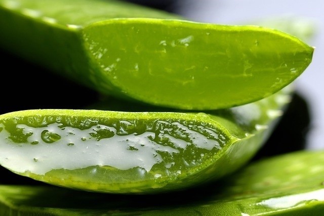 Aloes a refluks